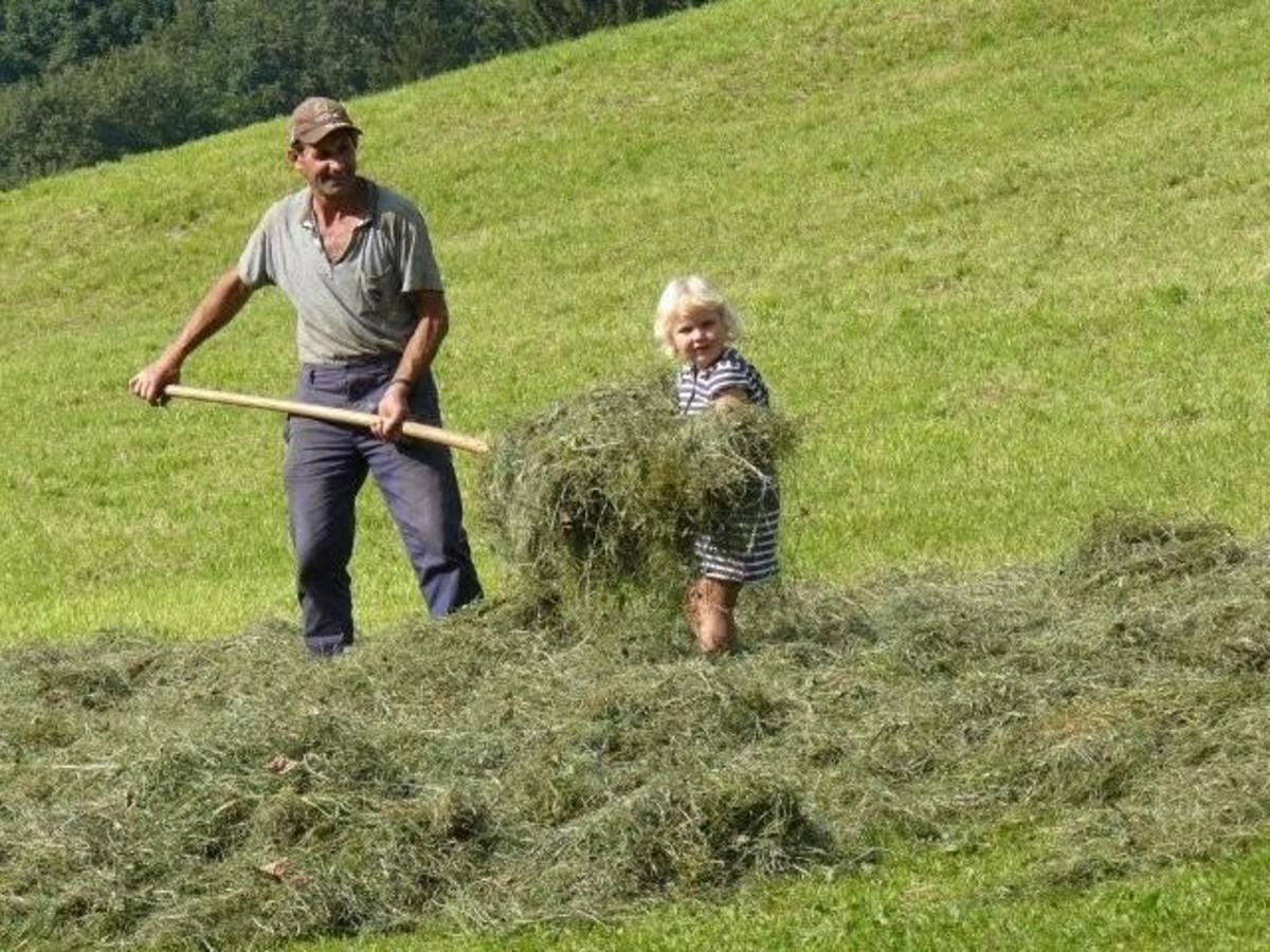 Floachhof Lägenhet Weerberg Exteriör bild